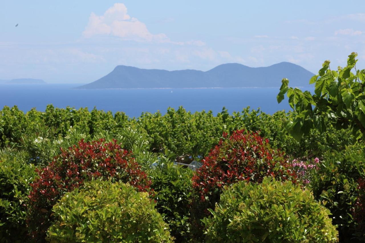 Pantheon & Danae Luxury Villas Sivota Exterior photo